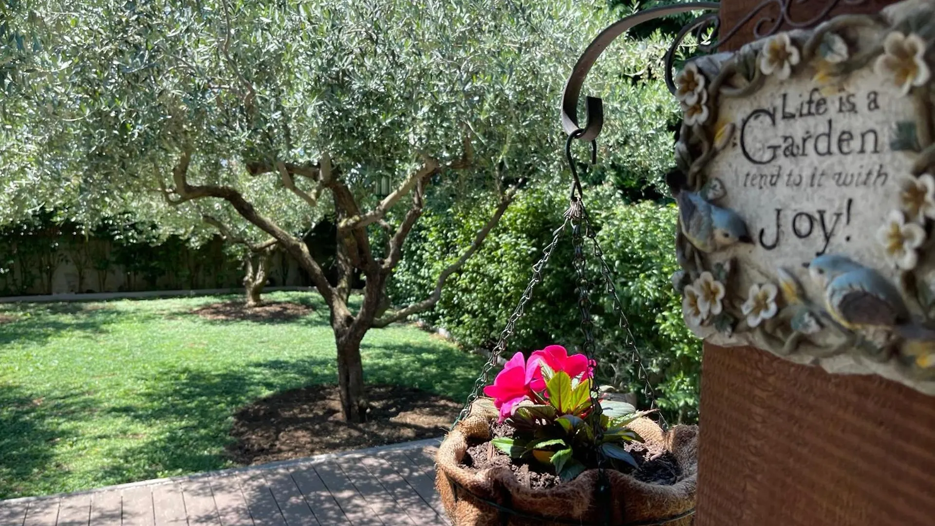 Apartment Green Zadar Croatia